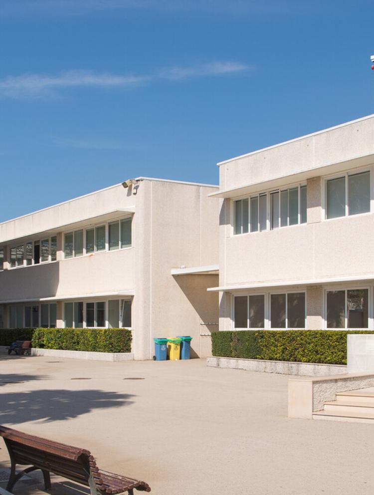 School Tours
