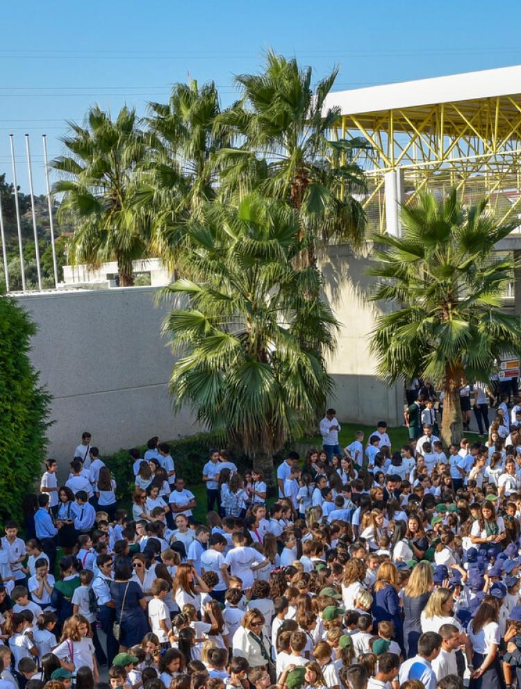 University Admissions