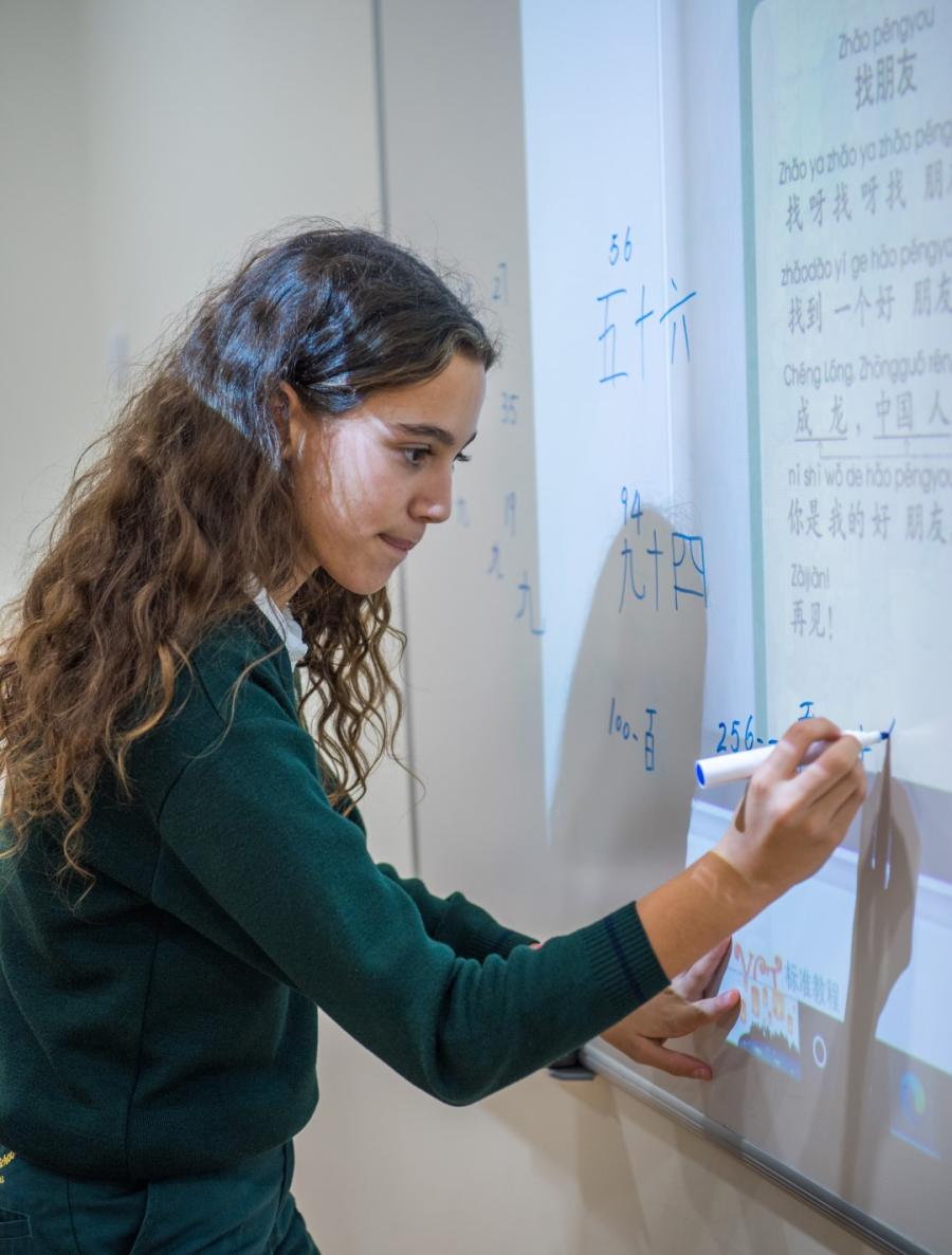 currículo do bacharelado internacional nas escolas de Setúbal