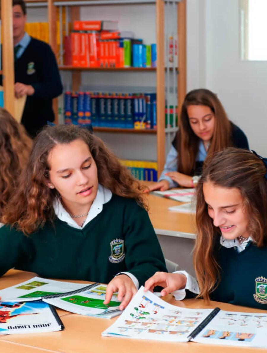 IGCSE diploma school options