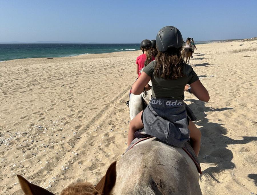 Horse-riding on the Beach 