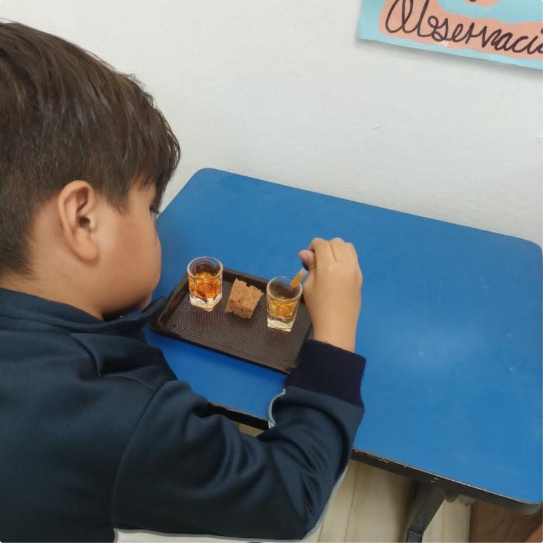 observation-table