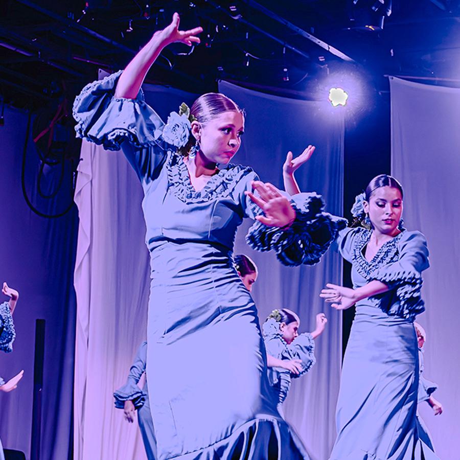 flamenco