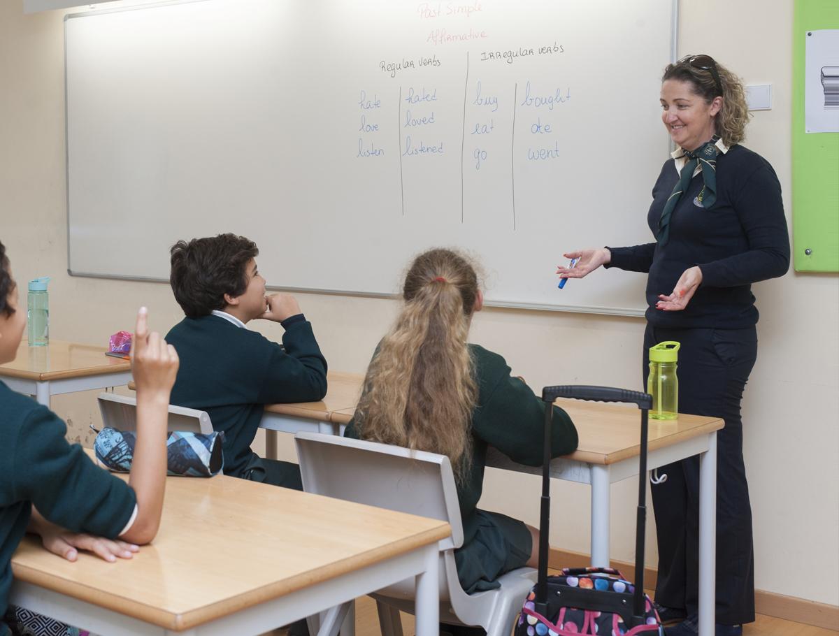 melhores professores do ensino básico em Palmela