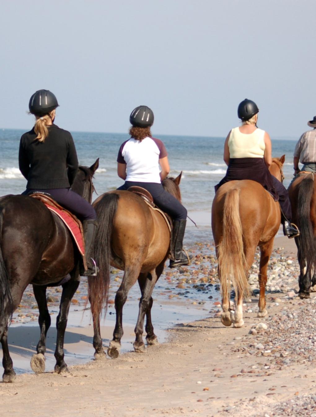 St-Peters-Boarding-Activities