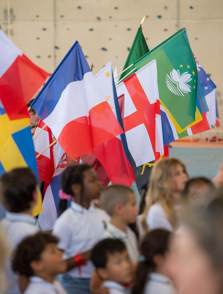 IB Diploma Programme