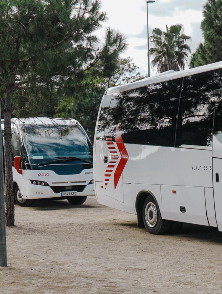 bus