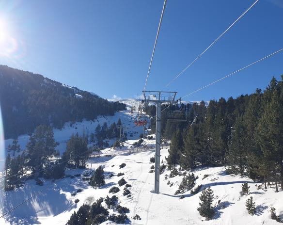 NEWSLETTER 10 DE FEBRERO secundaria