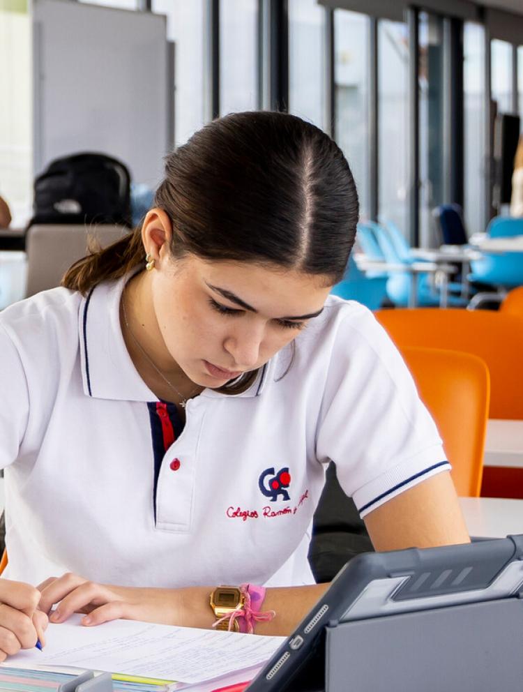 LÍNEAS DE BACHILLERATO