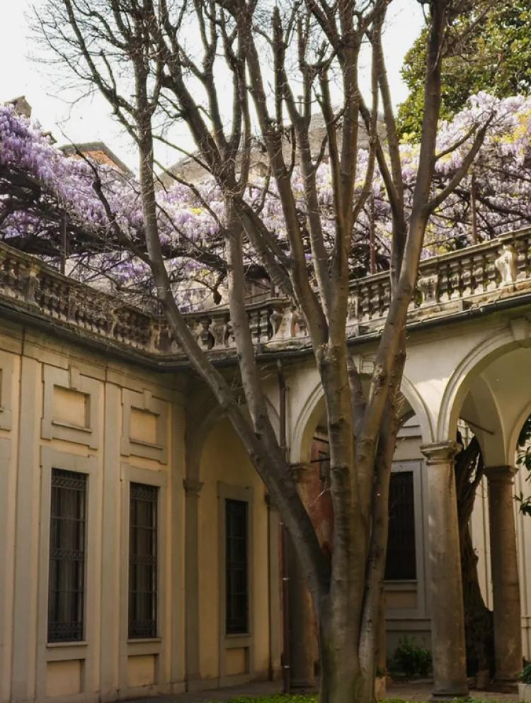 Archinto-campus-building-courtyard-flowers