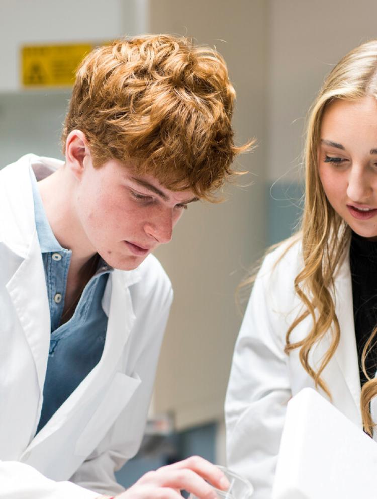 IB: International Baccalaureate