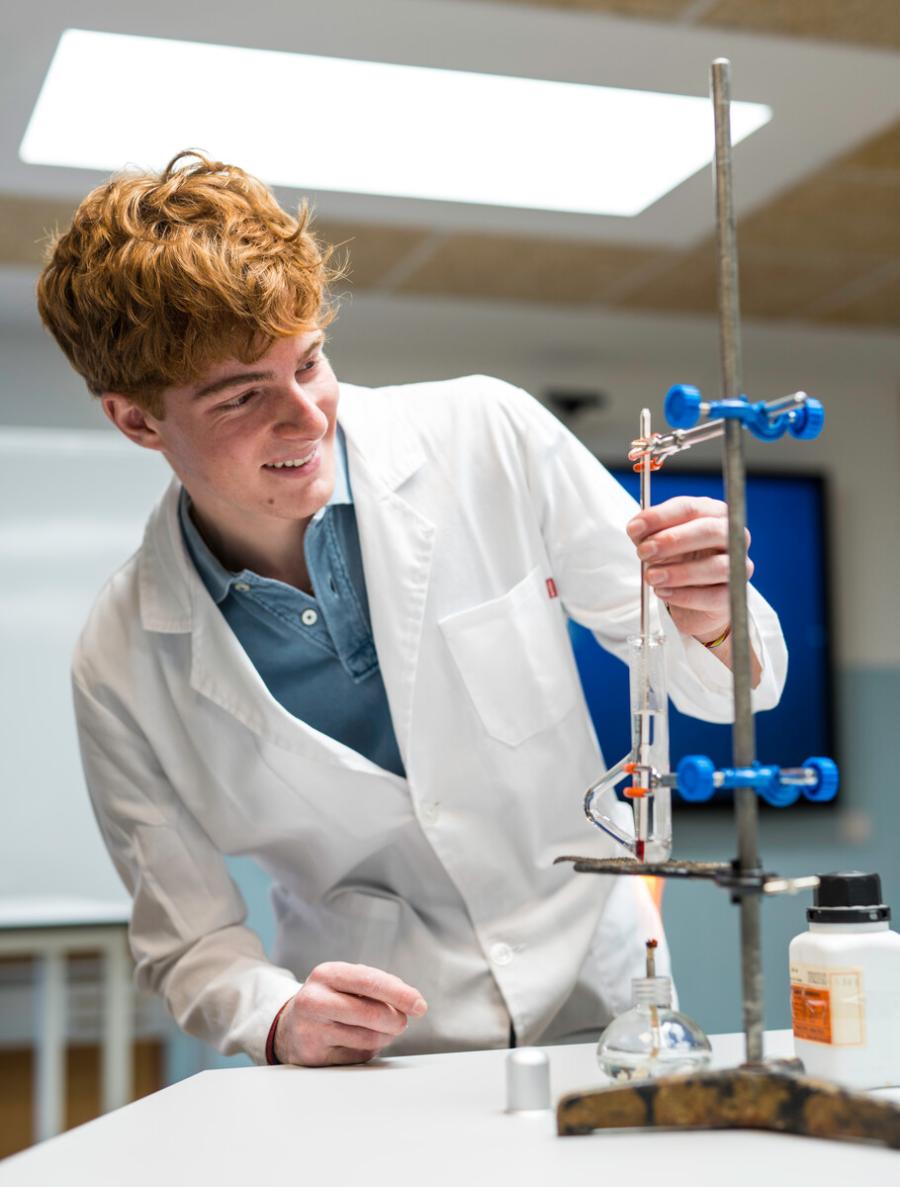 el programa del IB más recomendado