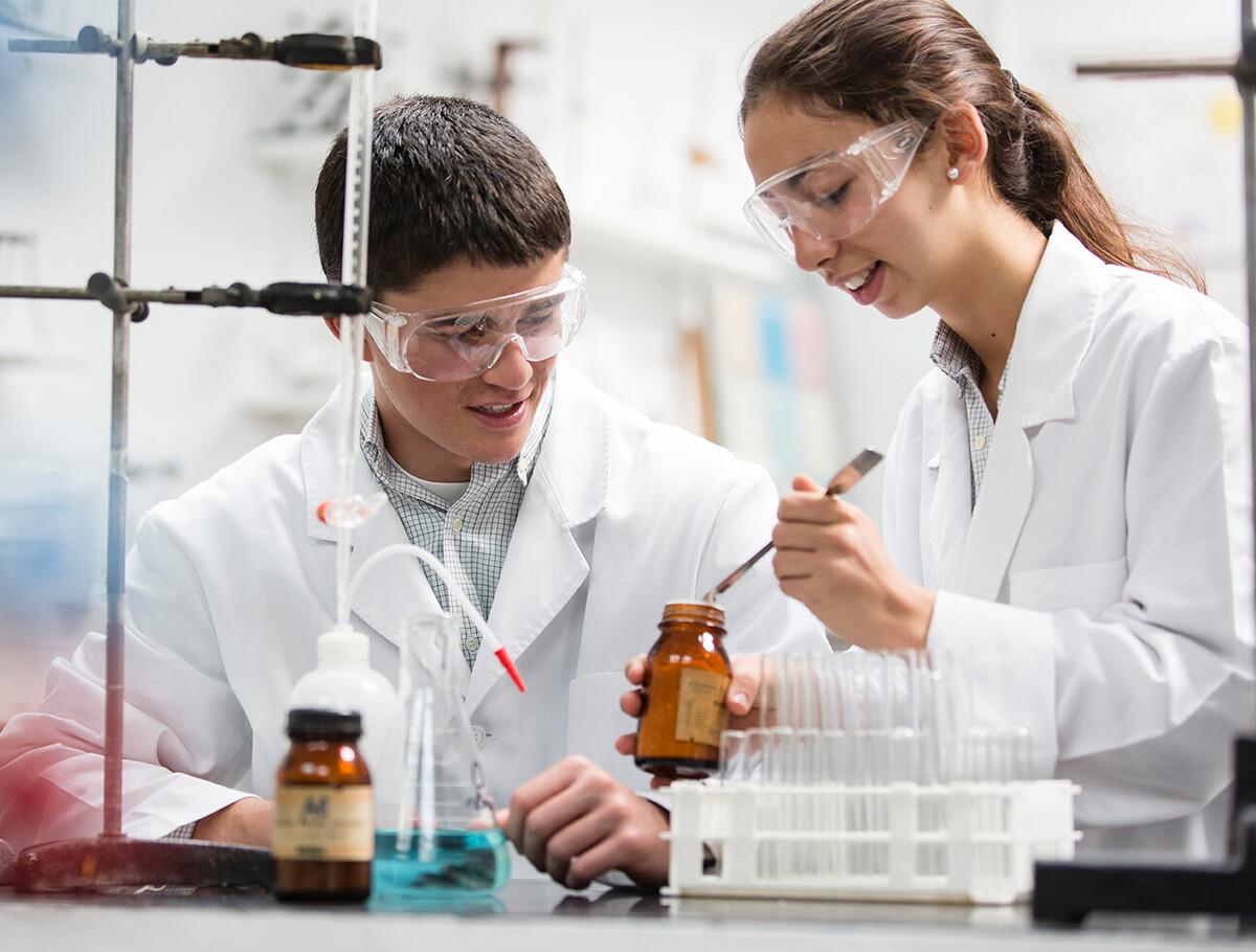 Asignaturas de Escuela de Secundaria Privada