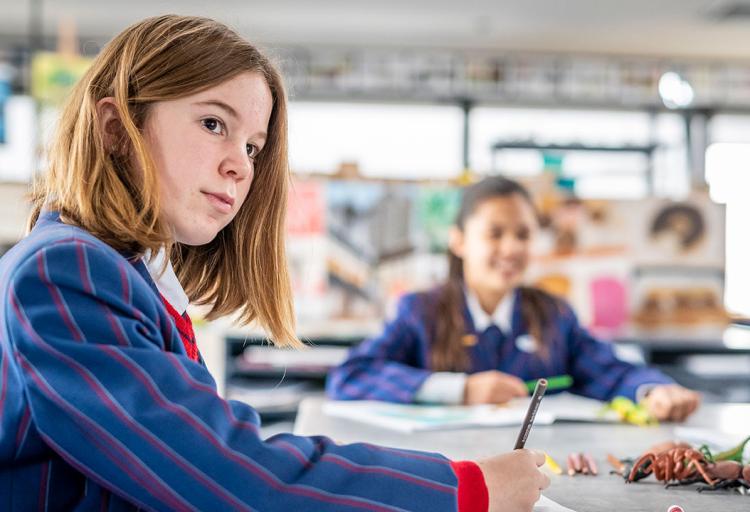 Focusing on fundamental strengths: literacy and numeracy