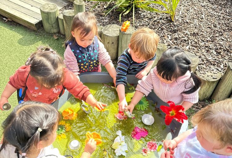 Spring Trough Website Image 1