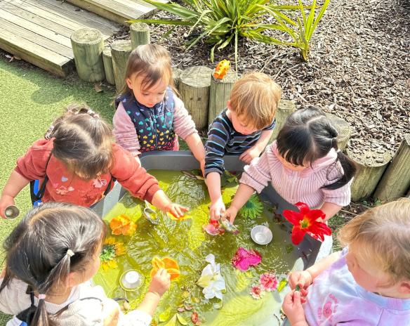 Spring Trough Website Image 1