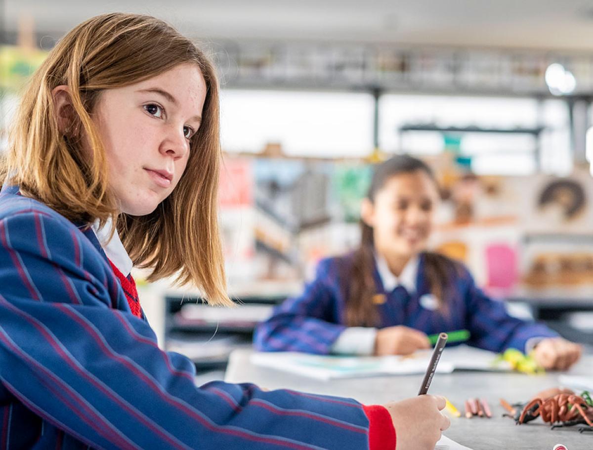 Focusing on fundamental strengths: literacy and numeracy