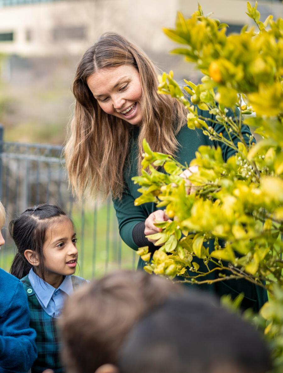 Auckland Private School Curriculum