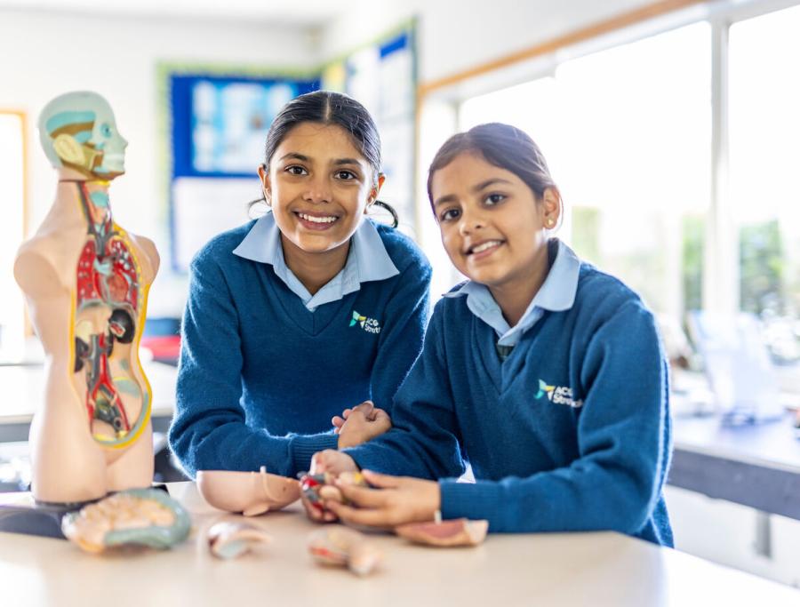 Primary School &amp; College