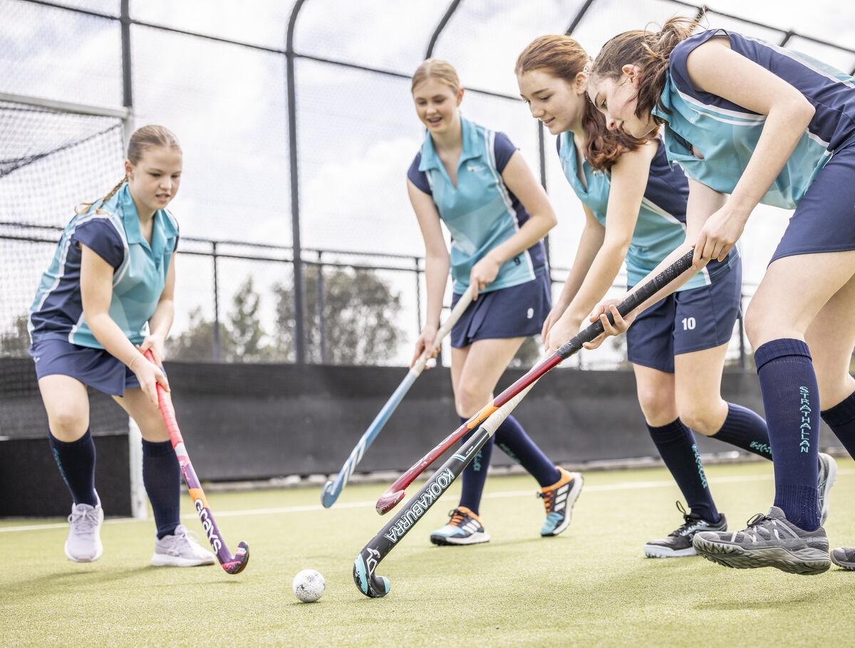 Outdoor sports hockey