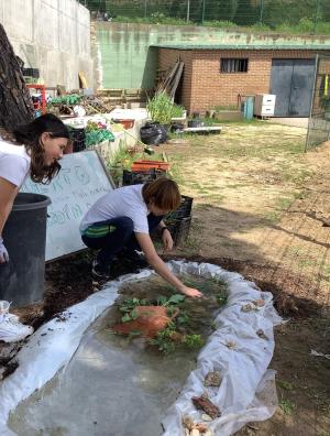 PRIMAVERA EN EL HUERTO LITERARIO-JARDÍN FILOSÓFICO