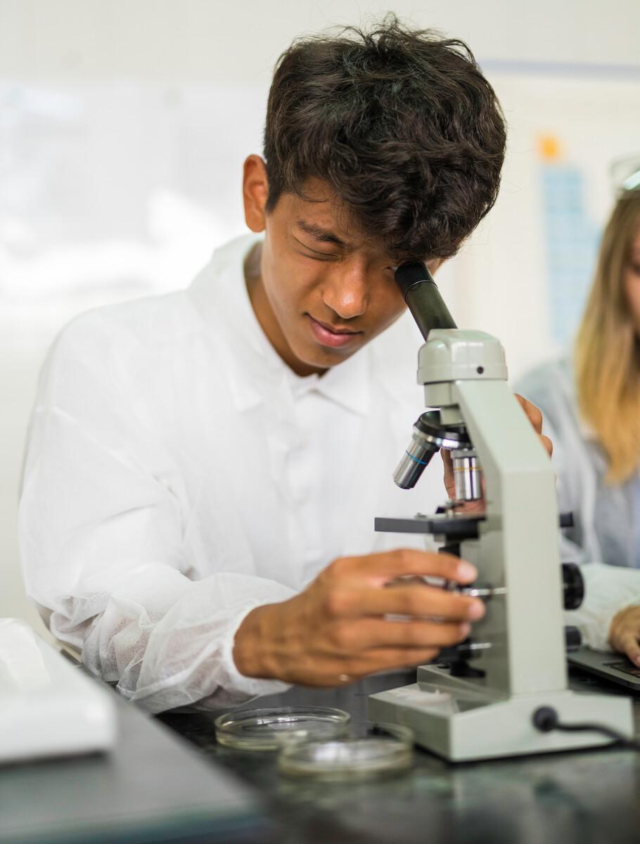Mejor colegio Bachillerato en Boadilla