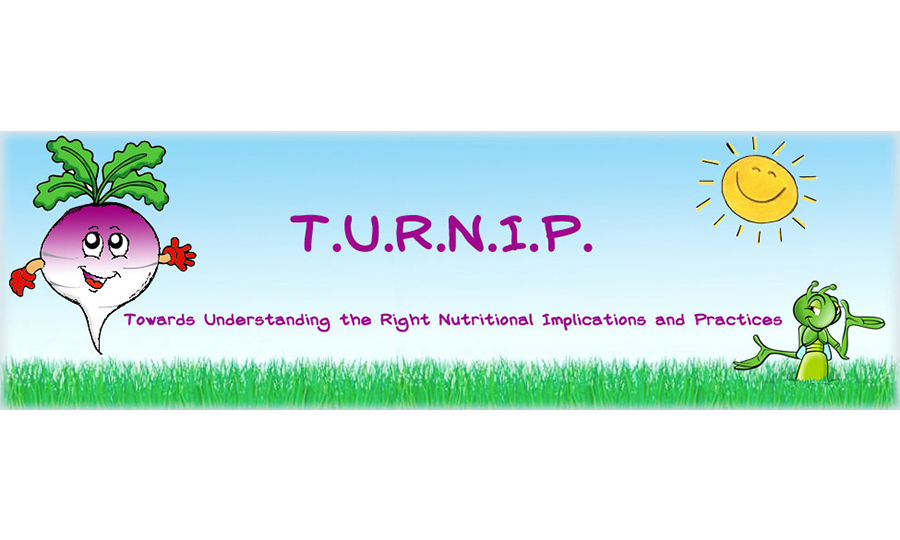 THE T.U.R.N.I.P. PROGRAMME