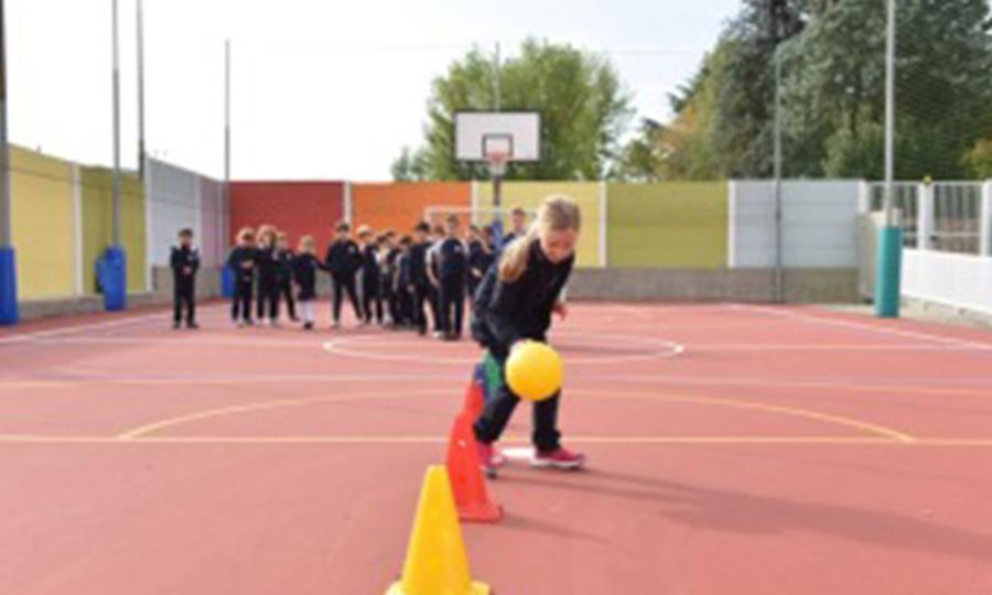 Sports-Field Sports-Field