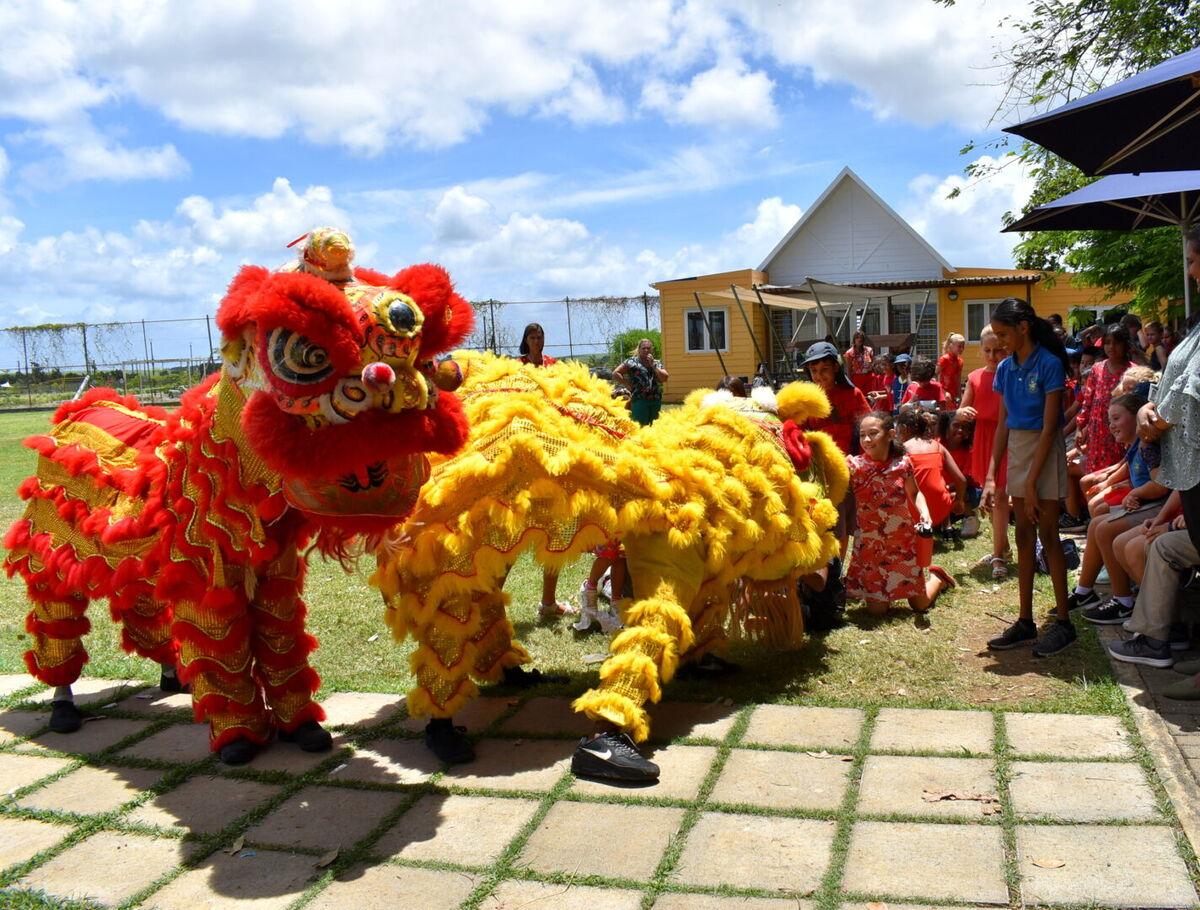 Chinese New Year Celebration 2024