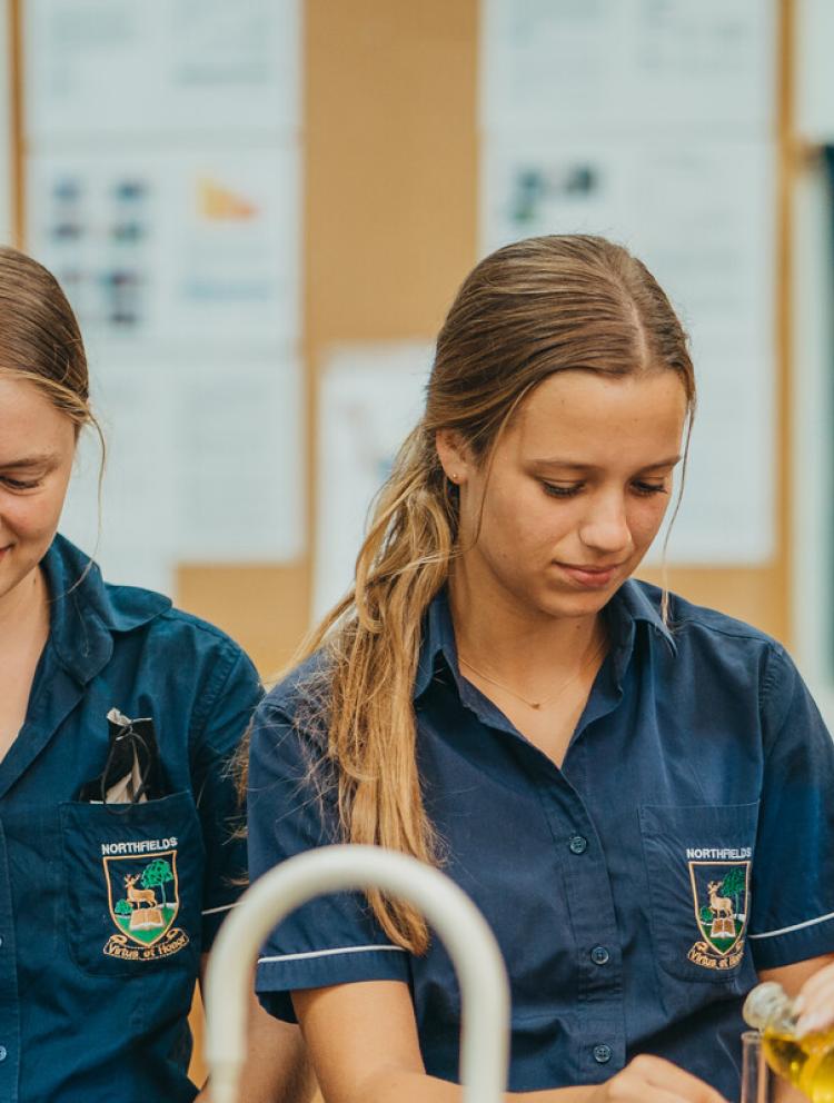 Diploma Programme