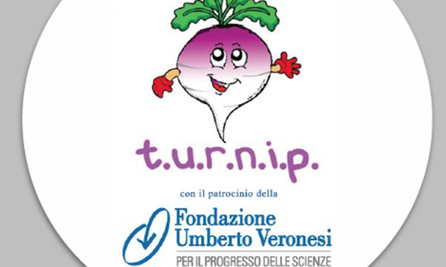 the-nutritional-programme