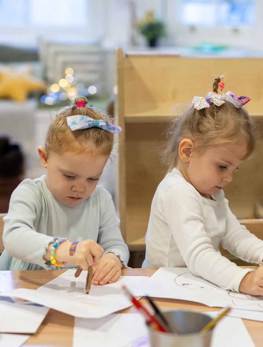 Holland Park Best Nurseries