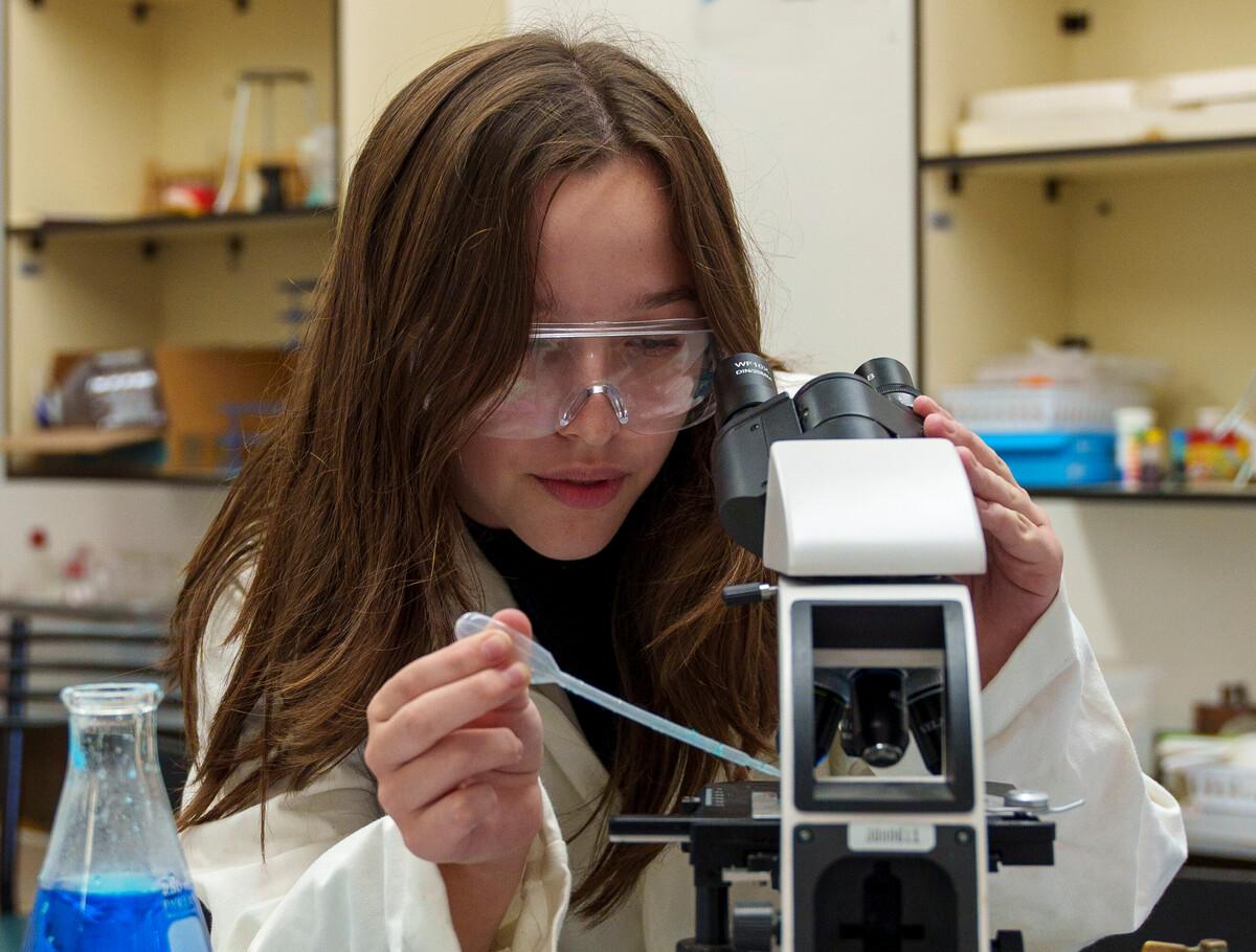 Students of Monterrey High School
