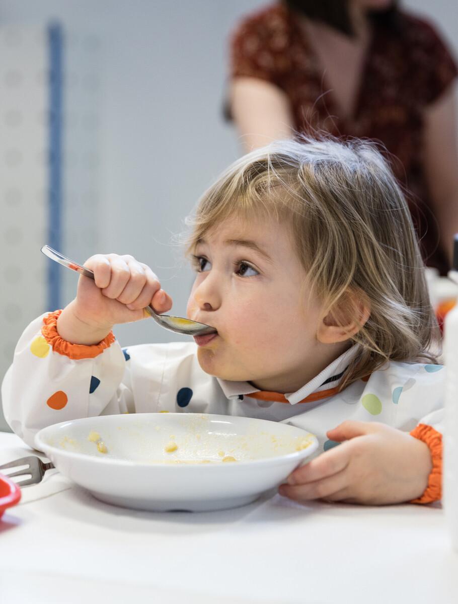 healthy balanced meals