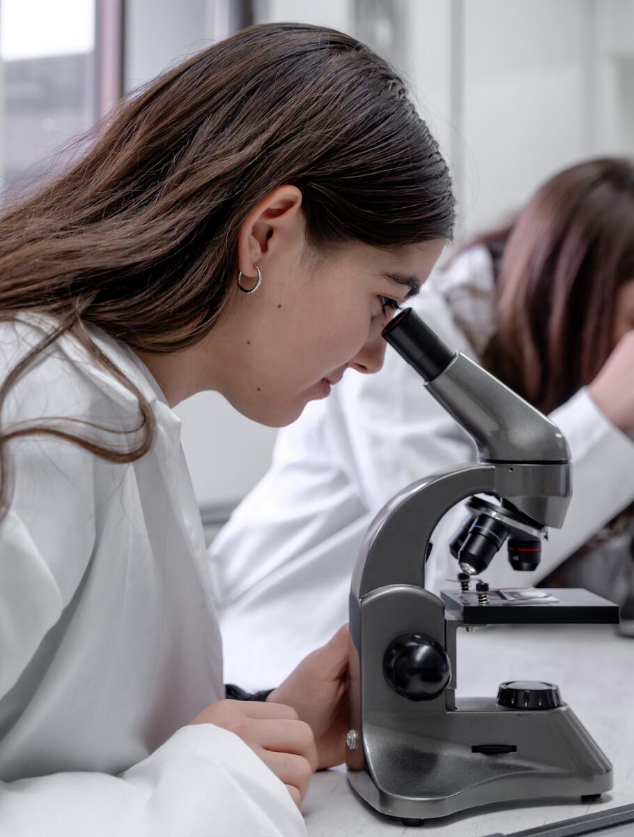 El mejor Instituto Americano de Monterrey