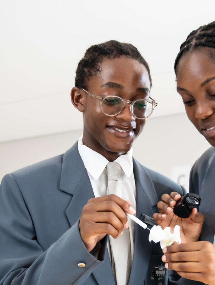 University Admissions