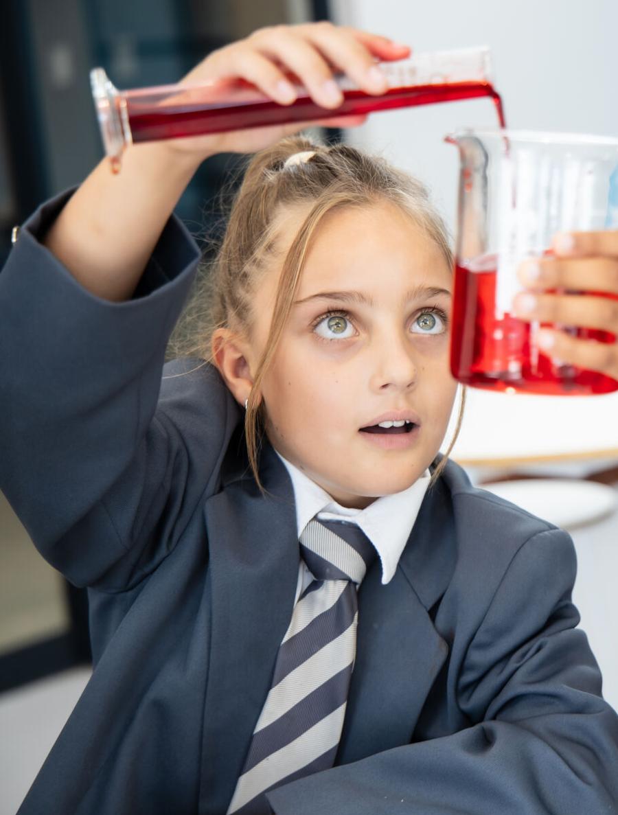 Primary Schools in Pretoria