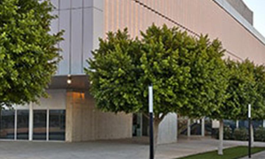 Colegio-Britanico-Kings-College-Murcia