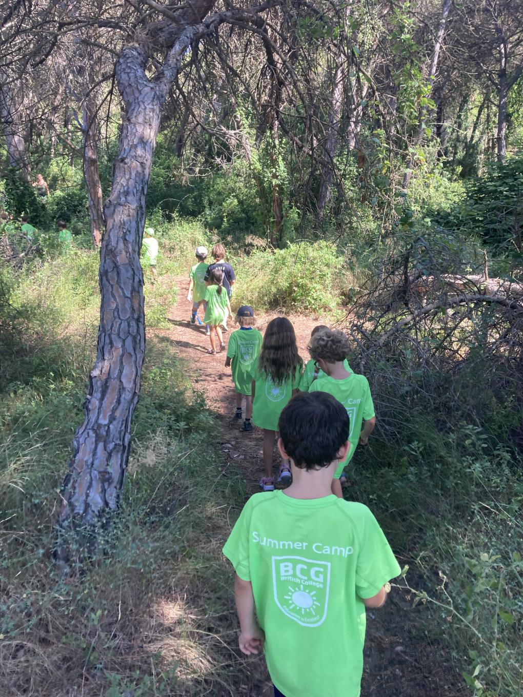 Climbing activities for elementary school students