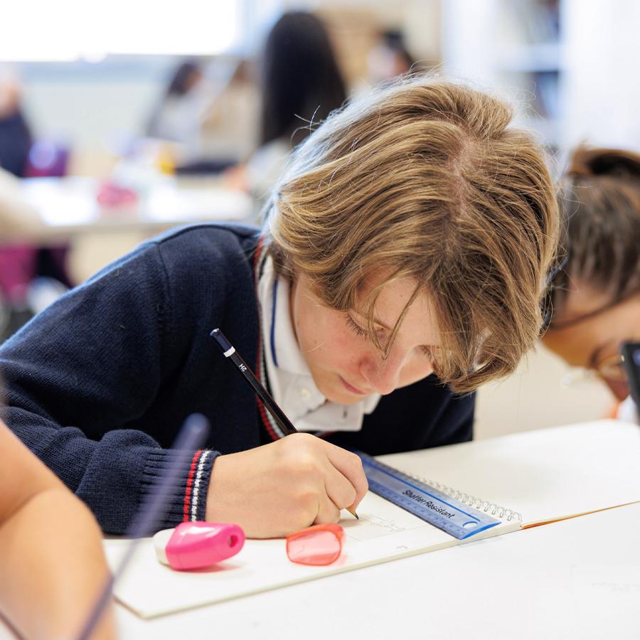 curriculum scuola media siena