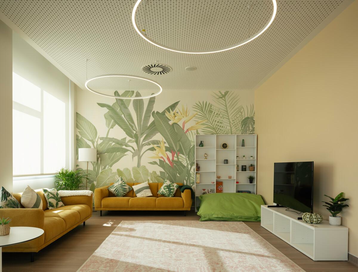 Discover Our Premium Boarding Facilities