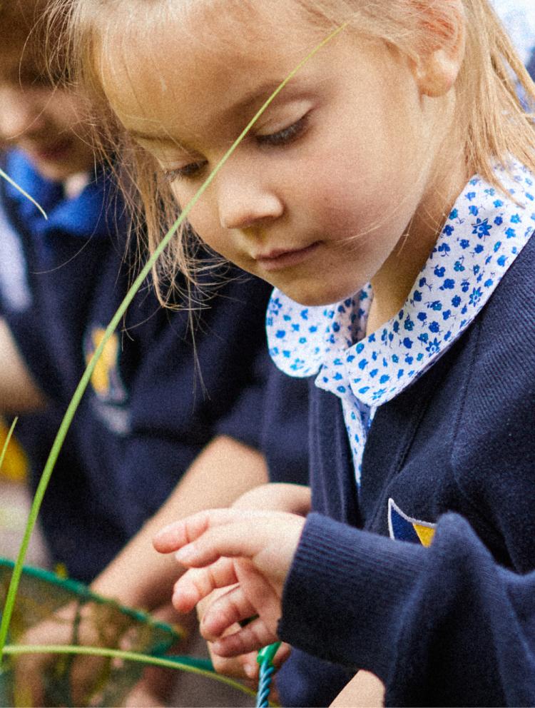 Inspired Learning Approach