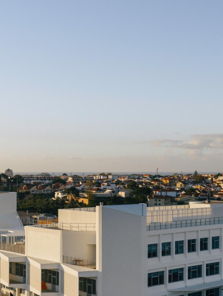 IB Diploma Programme (IBDP) in Cascais, Lisbon