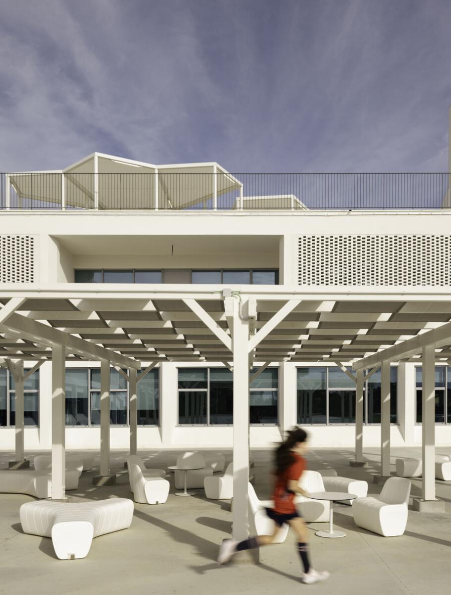 Studies in Language and Literature