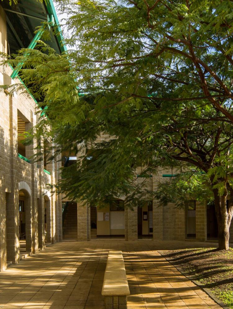 Blue Valley School