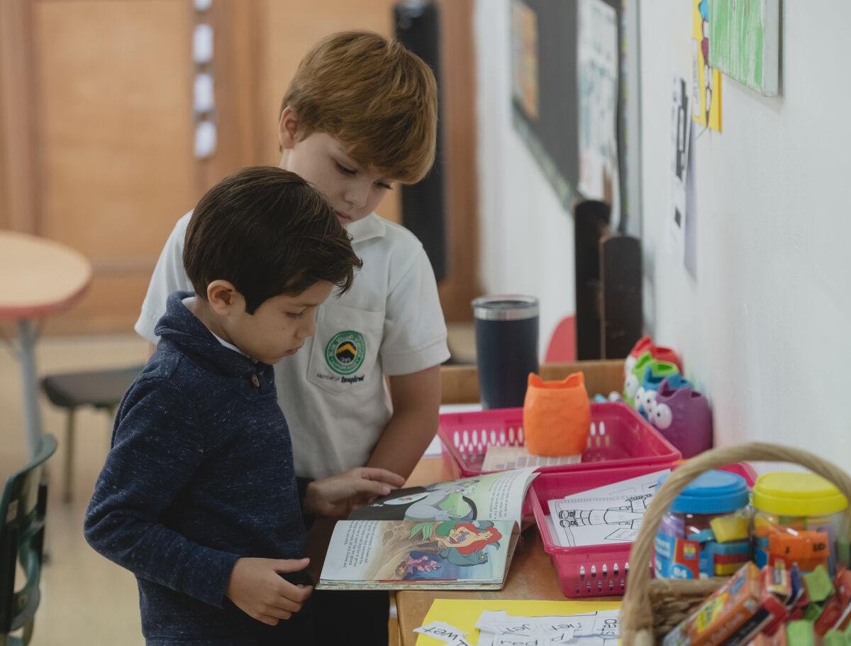 Escazu Escuelas de Primaria Americanas