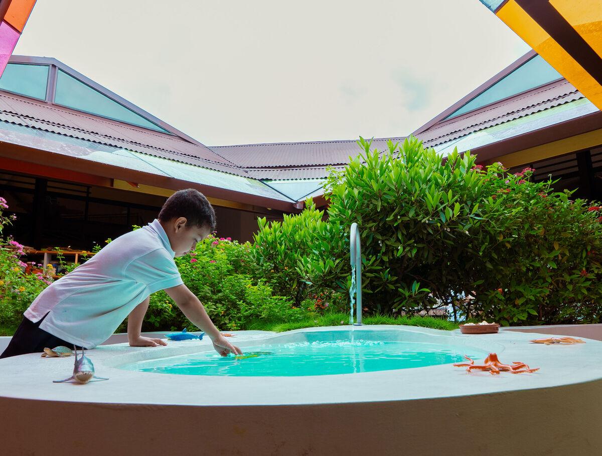 San Rafael de Escazu Guarderias Privadas con inmersión en Ingles