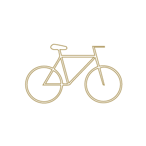 bike-gold