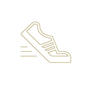 shoe-gold