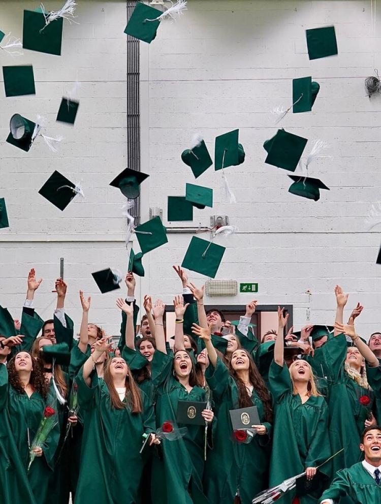 academic results